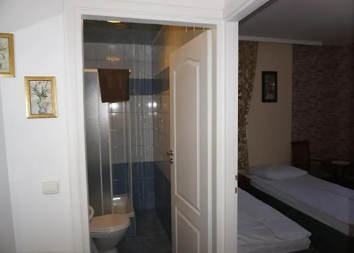 Dunajec Guest house *